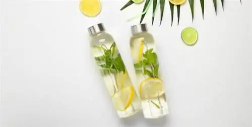 польза липы