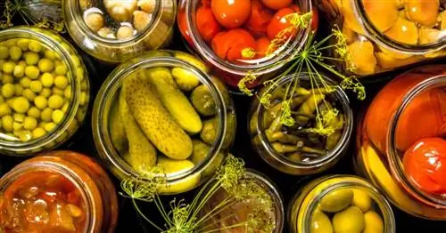 Смогут ли ваши летние урожаи наслаждаться ими круглый год?