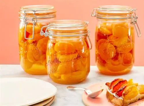 домашние консервы