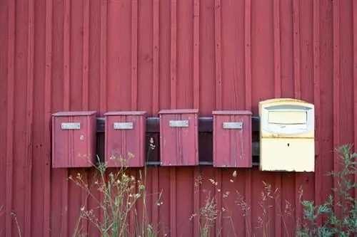 Шведский петинюр