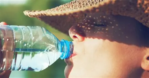 Задержка воды: 10 советов, как уменьшить ее этим летом