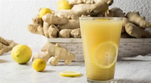 имбирный сок