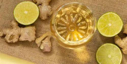 имбирный сок