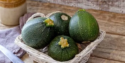 Фаршированные цуккини