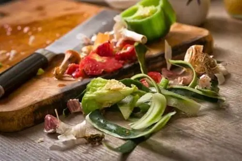 Комары откладывают яйца в пищевые отходы и другие органические вещества.