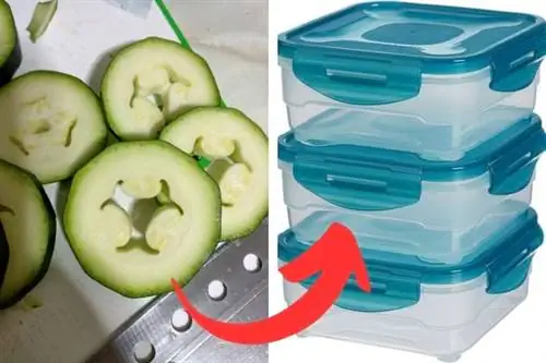 ломтик кабачка и коробка для хранения продуктов