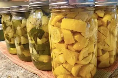 кабачки нарезать кусочками для хранения в стеклянной банке