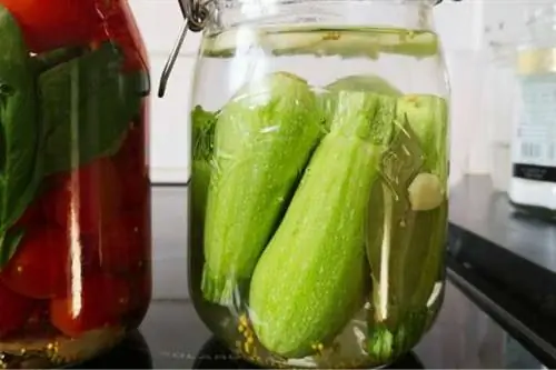 молодые кабачки в стеклянной банке