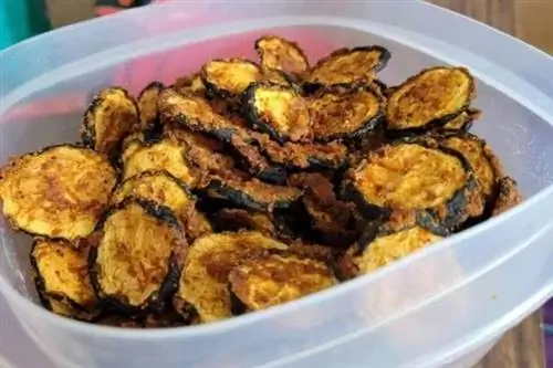 ломтик обезвоженного кабачка