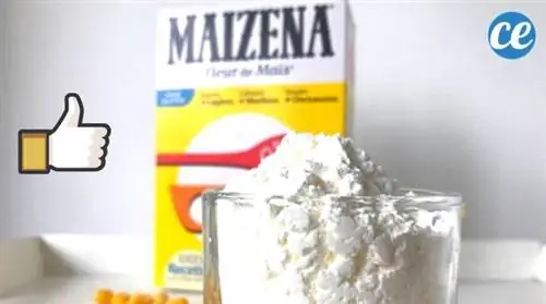 32 Неизвестное применение кукурузного крахмала