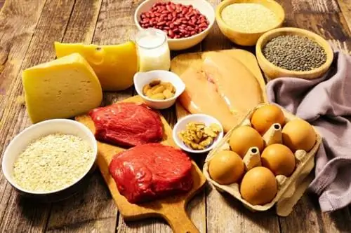 Продукты, богатые белком, для борьбы с задержкой воды