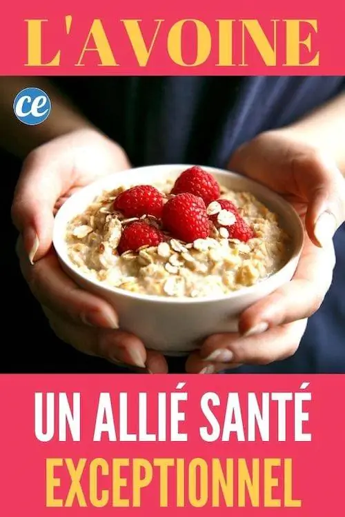 Руки держат миску каши с малиной: овес, исключительный союзник здоровья.