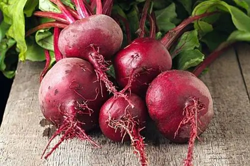 Несколько свеклы на деревянном столе