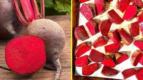 9 неожиданных преимуществ свеклы для здоровья