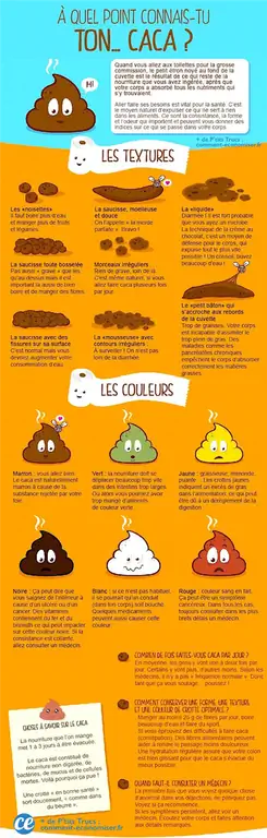 Все о твоем помете! Текстура, цвет, форма.