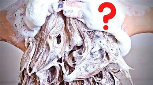 Как часто нужно (на самом деле) мыть голову?