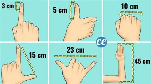 Как измерить без рулетки? Простой и практичный совет