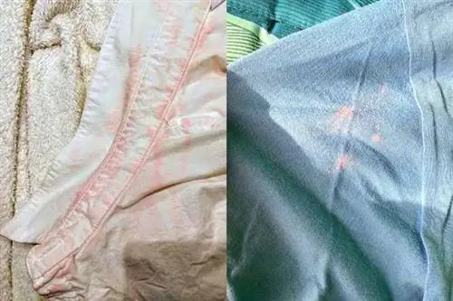 Одежда с пятнами отбеливателя