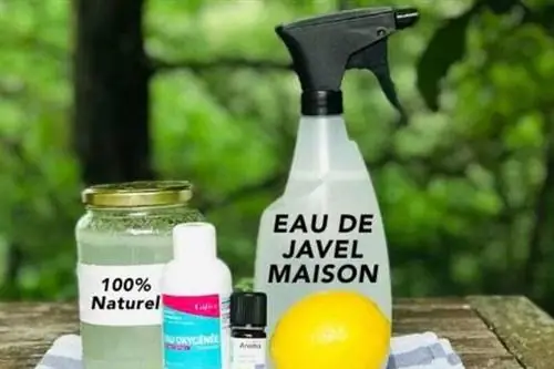 Аэрозольный баллончик с отбеливателем и другими натуральными ингредиентами.