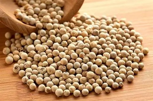 Несколько крупных белых перцев на деревянном столе