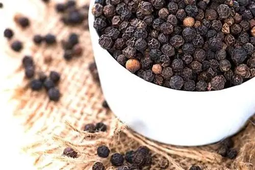 Несколько крупных зерен перца в маленькой белой миске