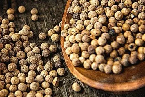 Несколько больших черных и белых перцев горошком