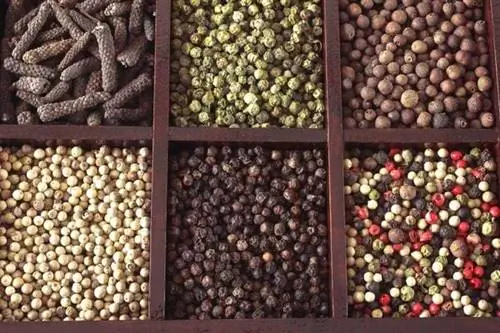 несколько сортов перца, полезных для здоровья