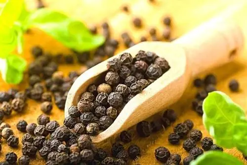 крупный перец горошком