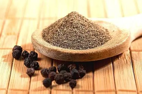 Молотый перец в деревянной лопаточке с крупными зернами рядом с ним