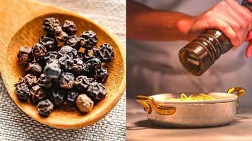 9 неизвестных полезных свойств перца для здоровья