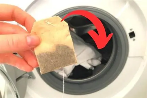 пакетик черного чая в стиральной машине.