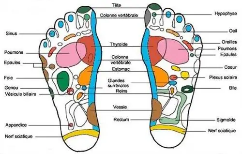 Меридианы под сводом стопы