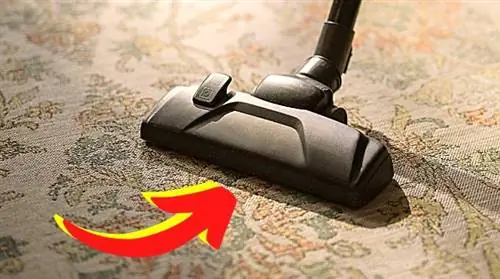 Почему мой пылесос больше не сосет? И мои советы, как это исправить