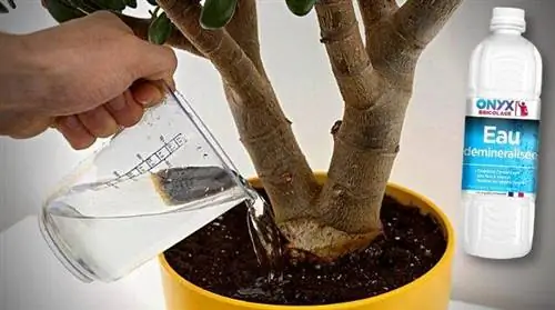 Можно ли поливать растения деминерализованной водой?