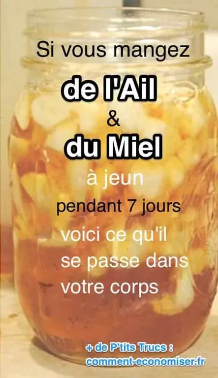 достоинства и польза чеснока и меда