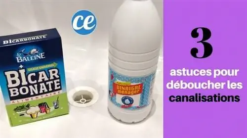 3 быстрых совета, как прочистить канализацию, не вызывая сантехника