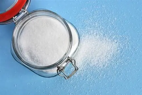 банка сахара