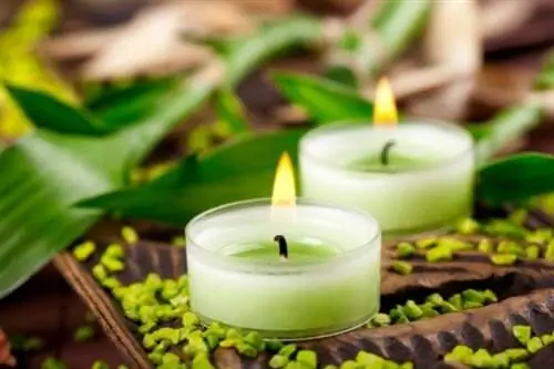 две зажженные зеленые свечи