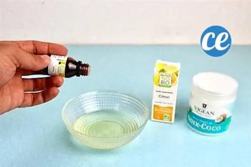 Смешайте эфирные масла с растопленным кокосовым маслом.