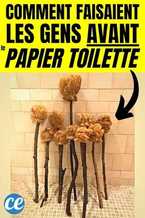 Кусочки дерева с губками на них, чтобы вытирать ягодицы перед PQ