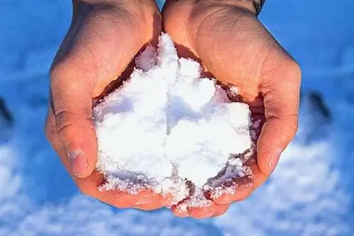 Человек держит снег в руках