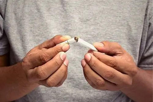 Мужчина в серой футболке держит сломанную сигарету