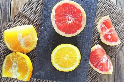 Несколько кусочков грейпфрута с нарезанными кусочками апельсина