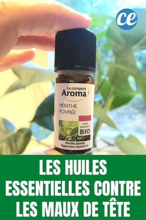 Эфирное масло мяты перечной