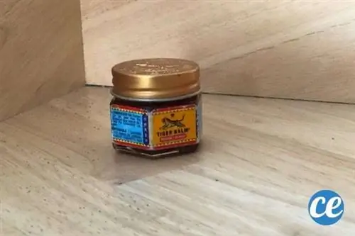 Тигровый бальзам перед деревянной стеной Тигровый бальзам перед деревянной стеной