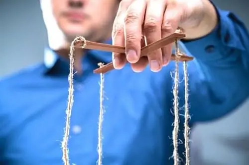 Мужчина держит объект с сеткой