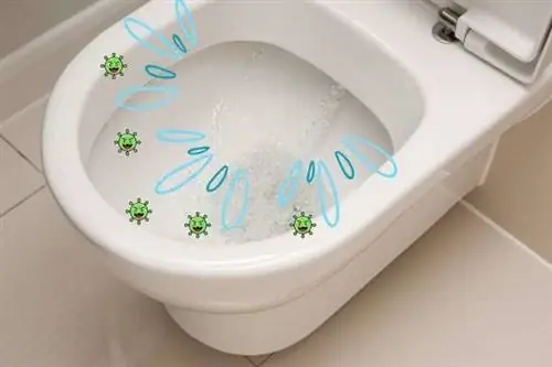 Фекалии в струях воды