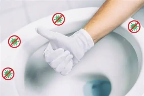 На чаше нет микробов