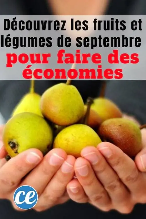 список фруктов и овощей на сентябрь