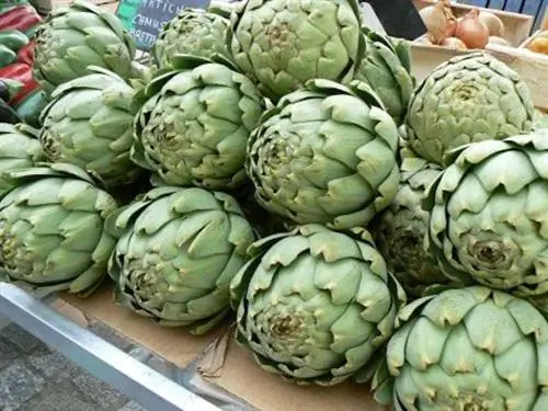 прилавок с артишоками на рынке